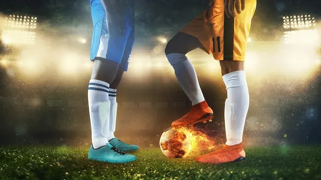 用户在手机上使用乐鱼体育APP